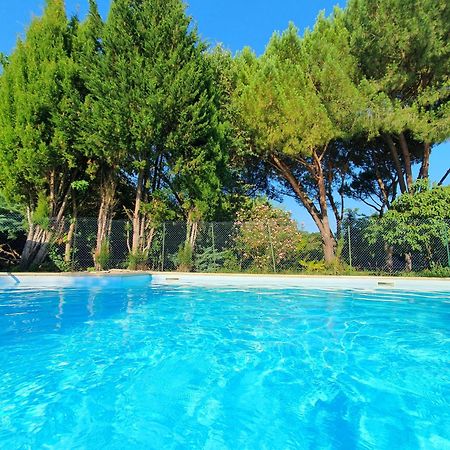 Logis Hotel Le Prince Noir Serignac-sur-Garonne Luaran gambar