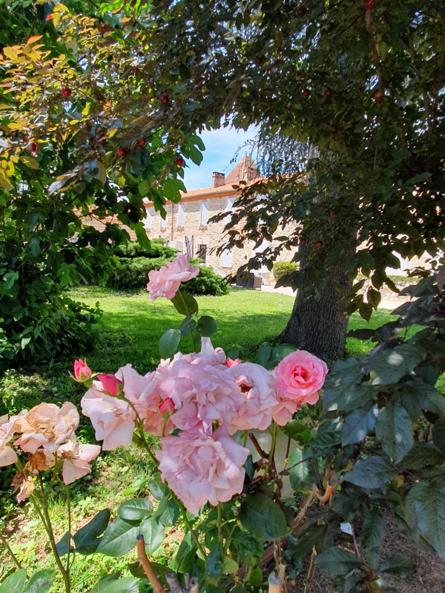 Logis Hotel Le Prince Noir Serignac-sur-Garonne Luaran gambar
